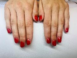 Bild: Shellac
